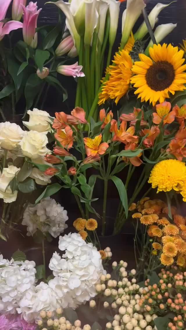 Un petit coup d’oeil sur nos derniers arrivages de fleurs 💐🌸

#flowers #flowerlove #fleurs #fleuriste #bouquet #lepouvoirdesfleurs