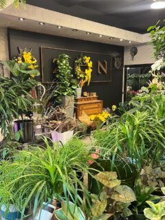 ✨Derrière nos portes, un univers de fleurs et de plantes vous attend… Venez vous y perdre! 🌸🌿

📍257 Av. Laurier Ouest, Montréal

#fleurs #plantes #fleuristemontreal #fleuriste #lepouvoirdesfleurs #laurierouest