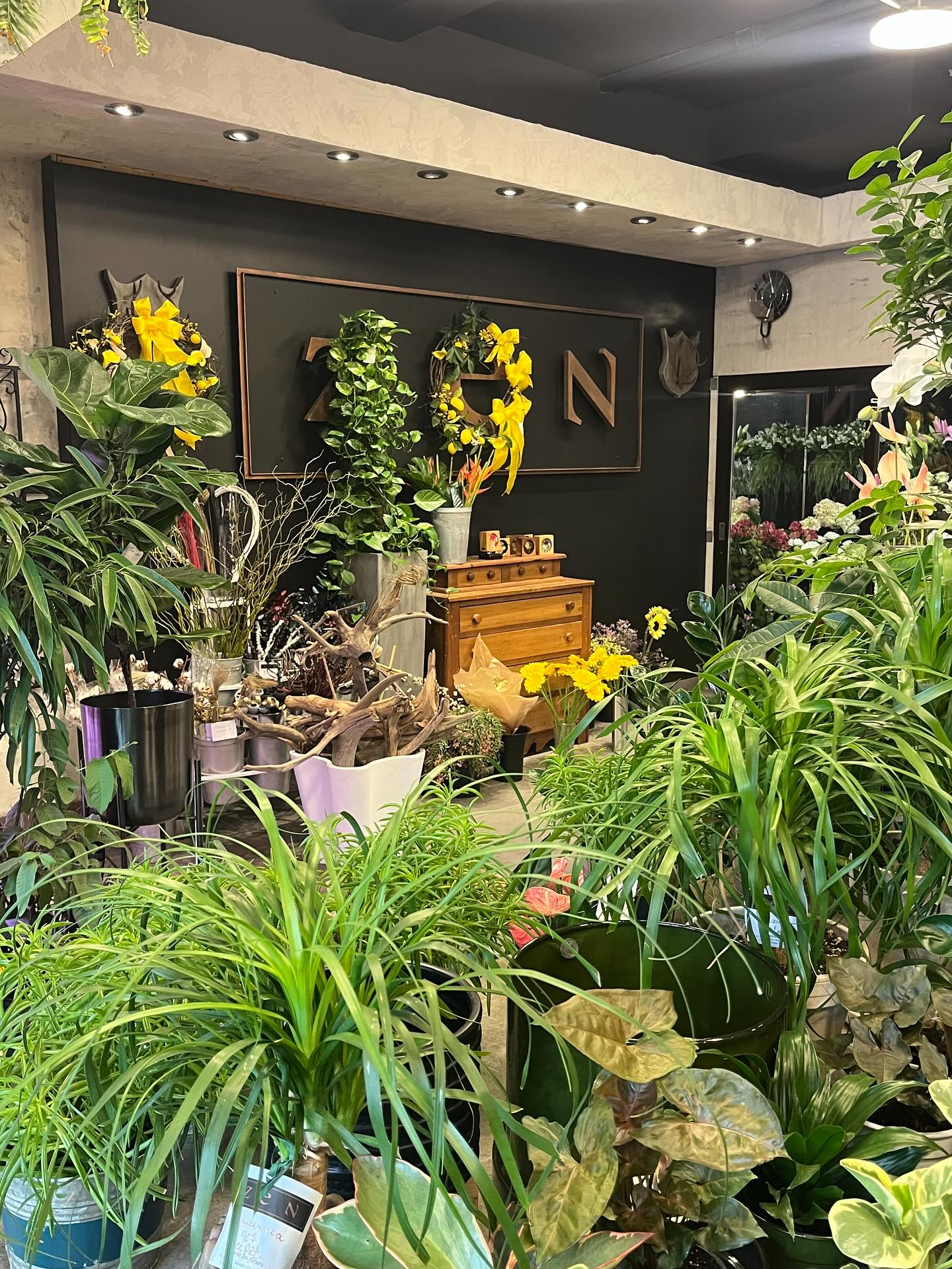 ✨Derrière nos portes, un univers de fleurs et de plantes vous attend… Venez vous y perdre! 🌸🌿

📍257 Av. Laurier Ouest, Montréal

#fleurs #plantes #fleuristemontreal #fleuriste #lepouvoirdesfleurs #laurierouest