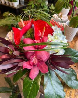 L’inspiration du moment, capturée dans un bouquet! 💐

Vous avez envie d'offrir un bouquet unique et original? Laissez-nous vous préparer avec soin un arrangement avec les plus belles fleurs en saison!

#bouquet #fleurs #flowerbouquet #flowershop #laurierouest #mileendmtl #fleuriste #fleursdesaison